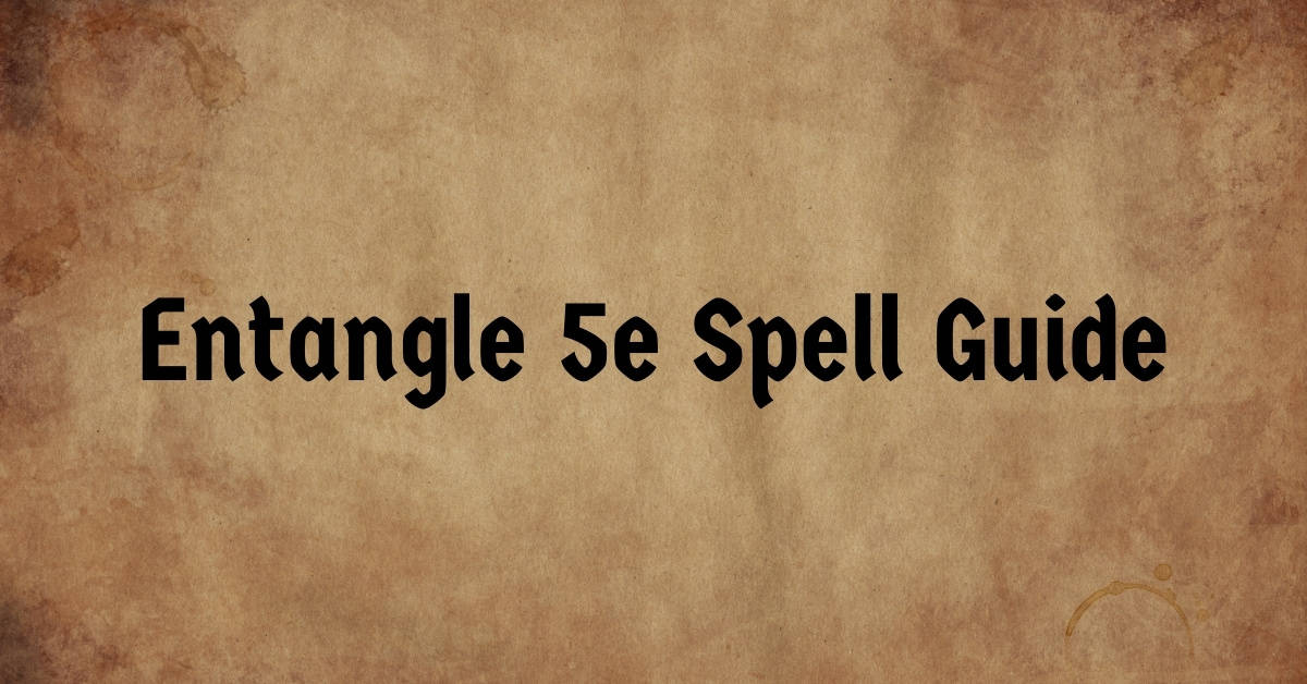 Entangle 5e Spell Guide: Full User Guide & Examples